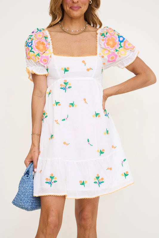 Julianna Embroidered Mini Dress