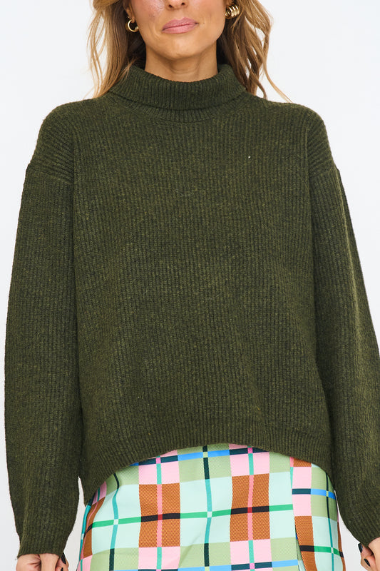 Solid Turtleneck Sweater