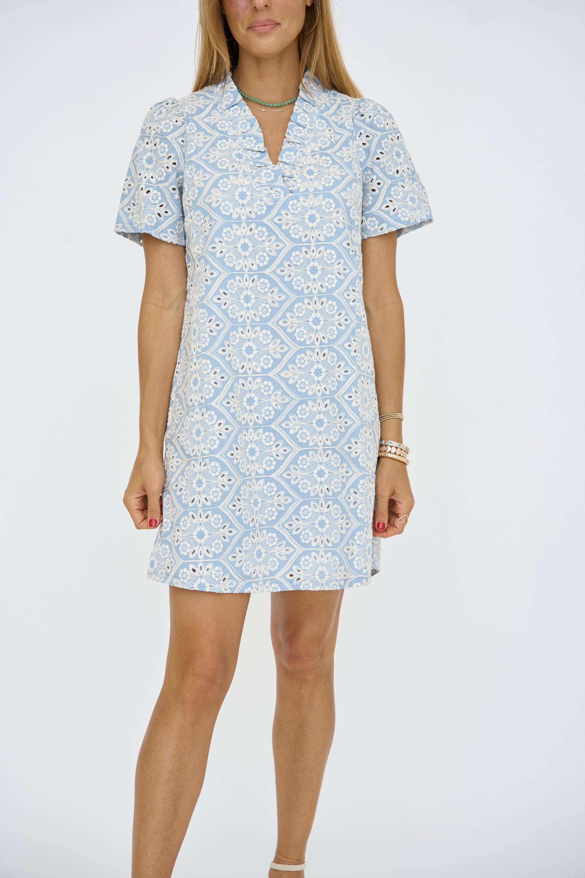 Wide Ruffle Vneck Embroidered Dress