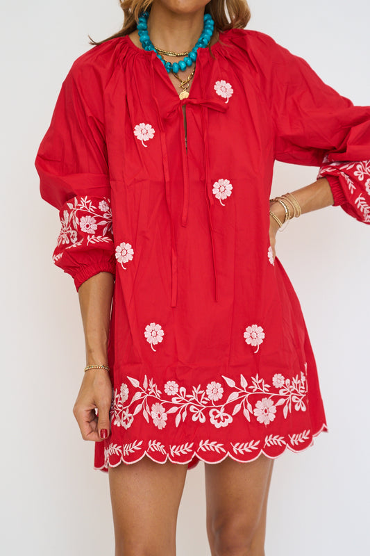 Tessa Embroidered Long Sleeve Mini Dress