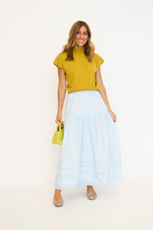 Baby Blue Floral Stripe Maxi Skirt