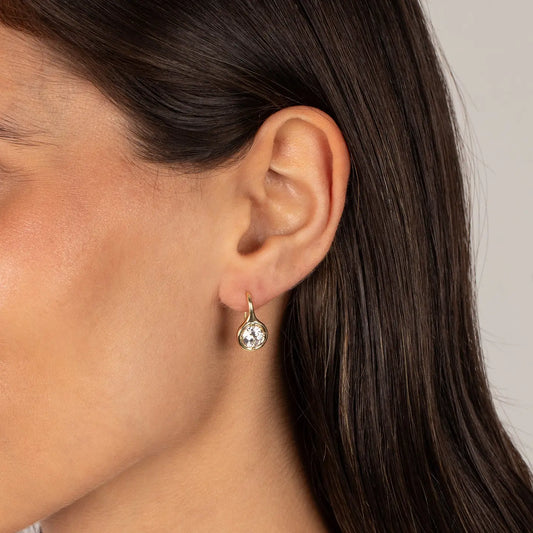 CZ Rounded Bezel Fish Hook Earrings