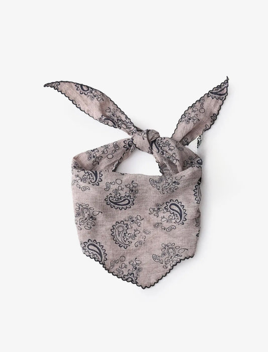 Paisley Print Triangle Scarf with Lace Edge