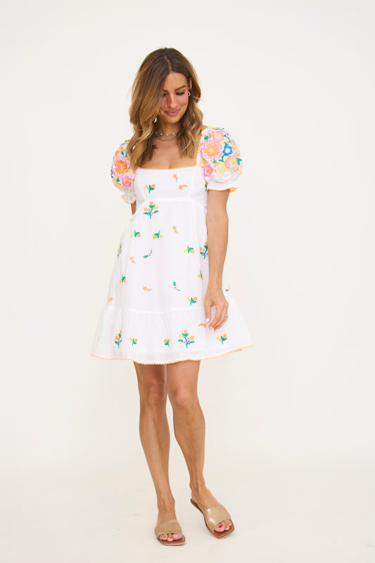 Julianna Embroidered Mini Dress