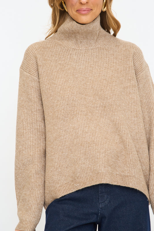 Solid Turtleneck Sweater