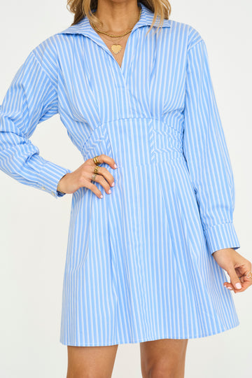 Blythe Pinstripe Mini Dress