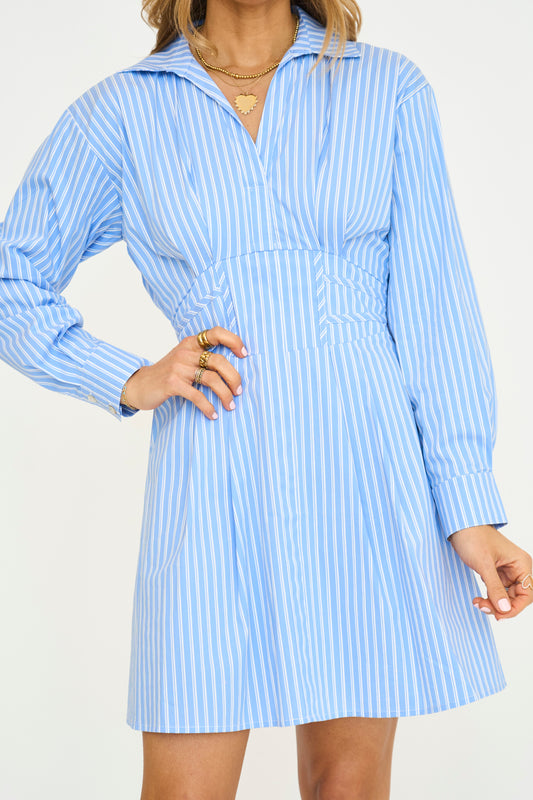 Blythe Pinstripe Mini Dress