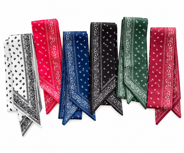 Silk Twilly - Bandana Print